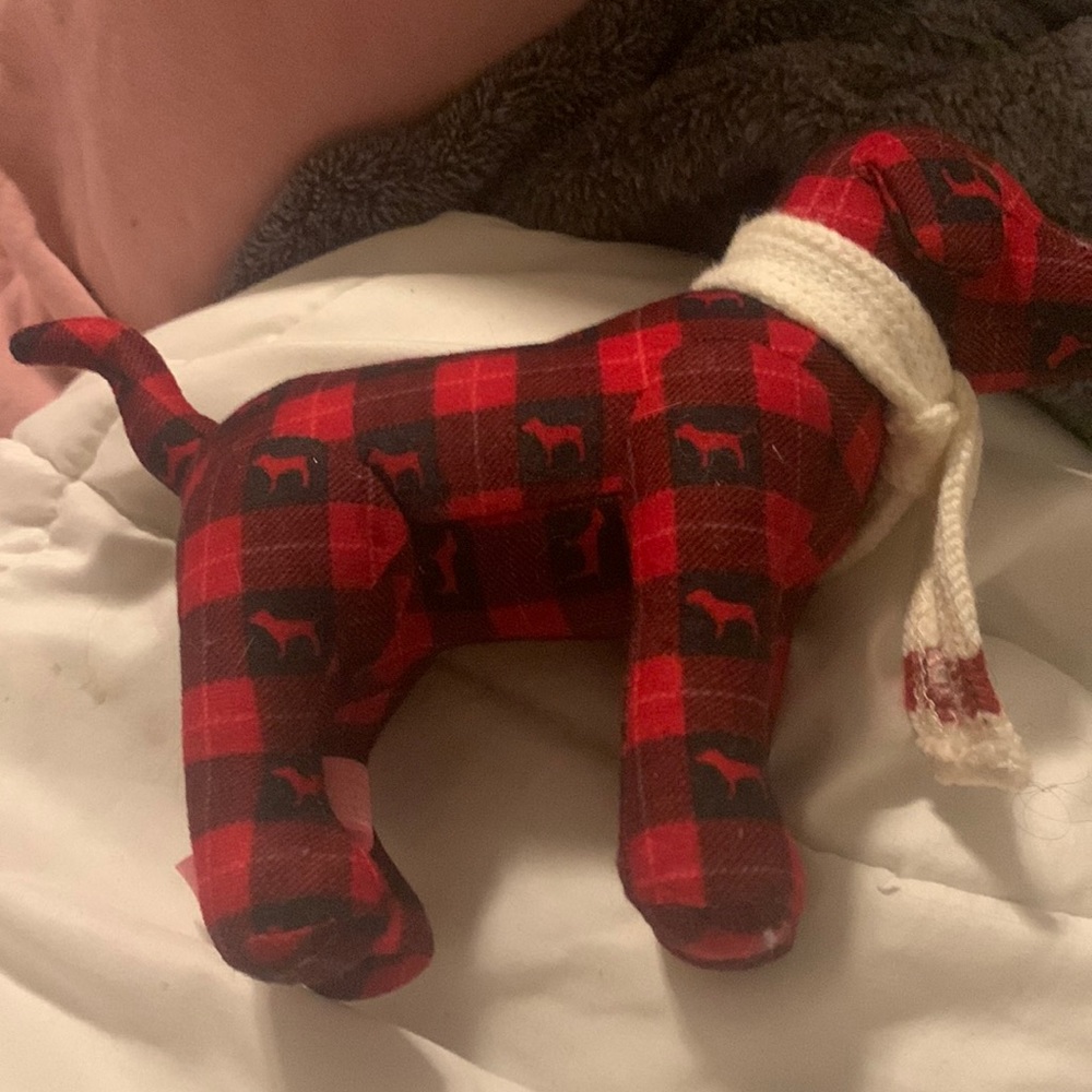Victoria’s Secret pink dog